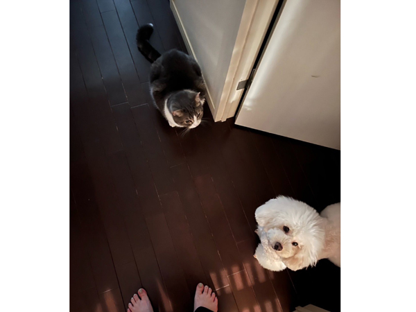 モデル犬卒業後、里親さん宅での様子♪～もんちゃん～
